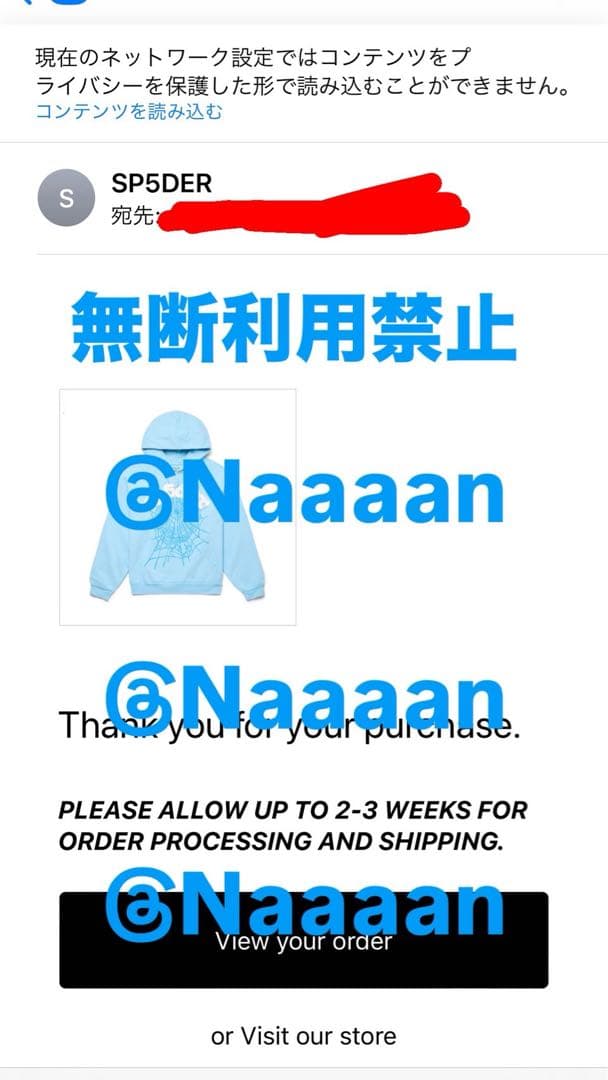 Sp5der Spider Worldwide パーカー　og