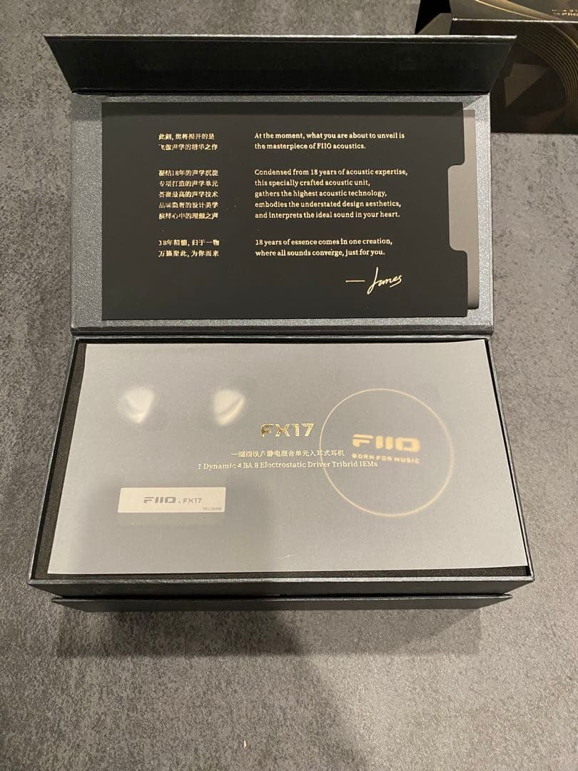 FiiO FX17 イヤホン