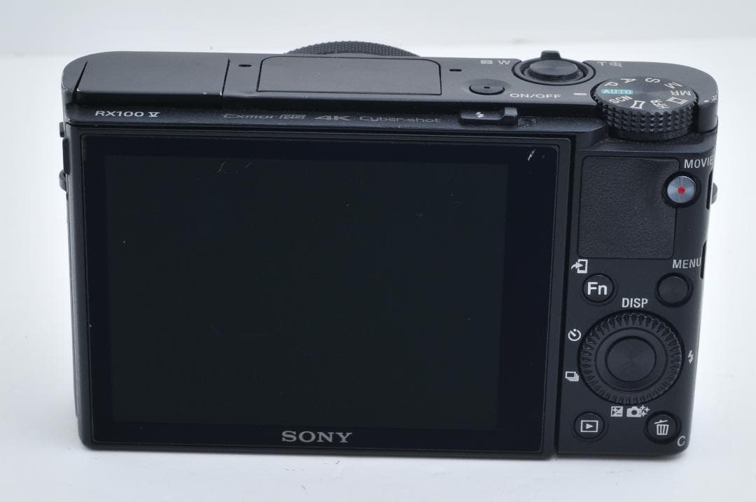 ソニー SONY DSC-RX100M5