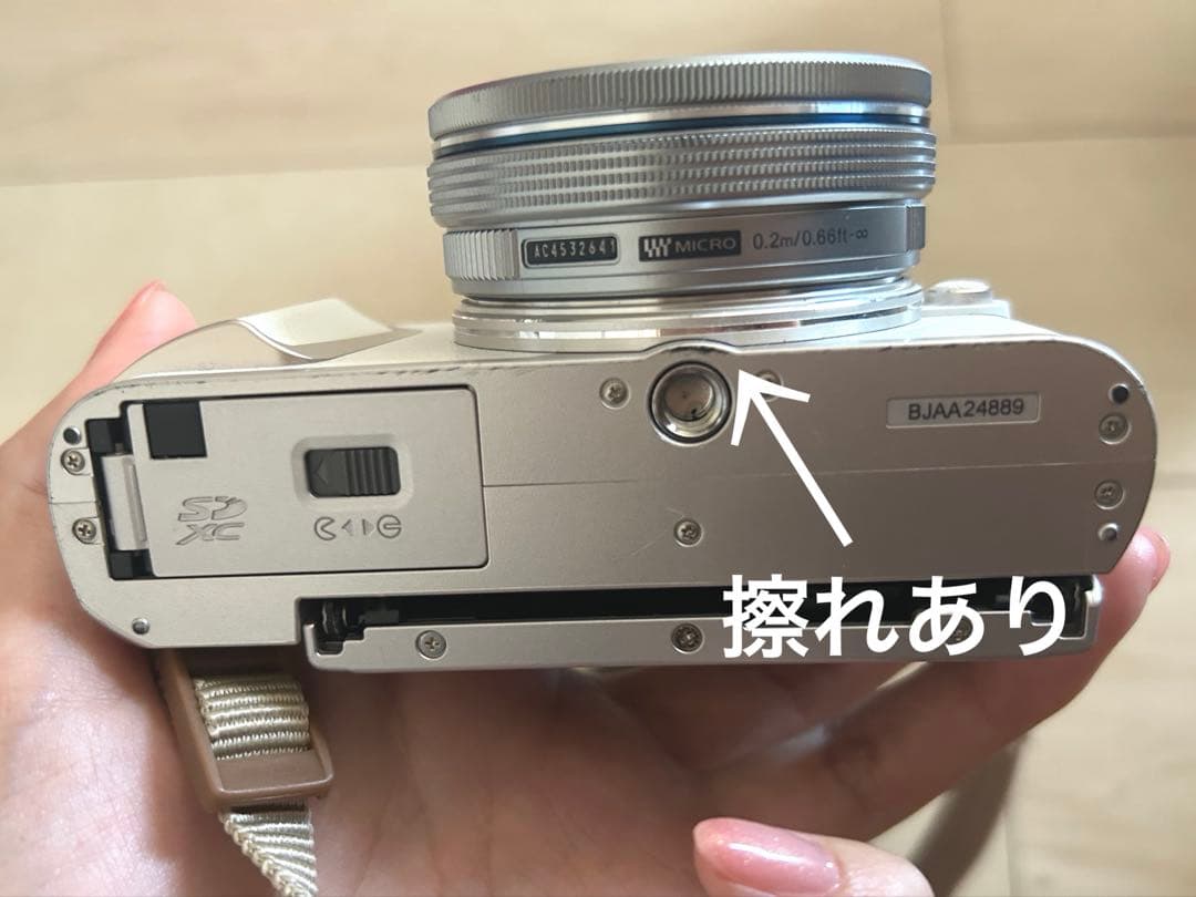 Olympus E-PL10 ミラーレスカメラセット