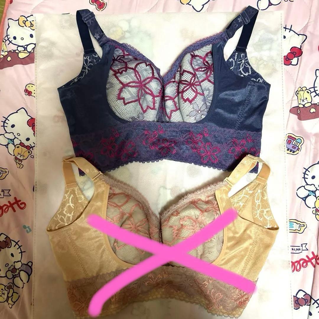 マルコ アヴァンセ サクラシリーズ ブルー2点セット