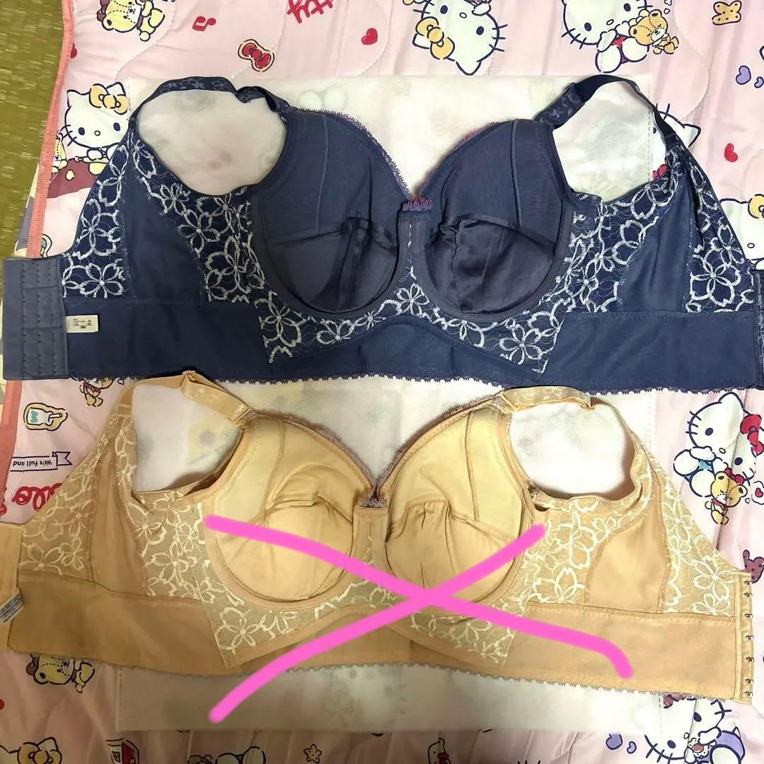 マルコ アヴァンセ サクラシリーズ ブルー2点セット