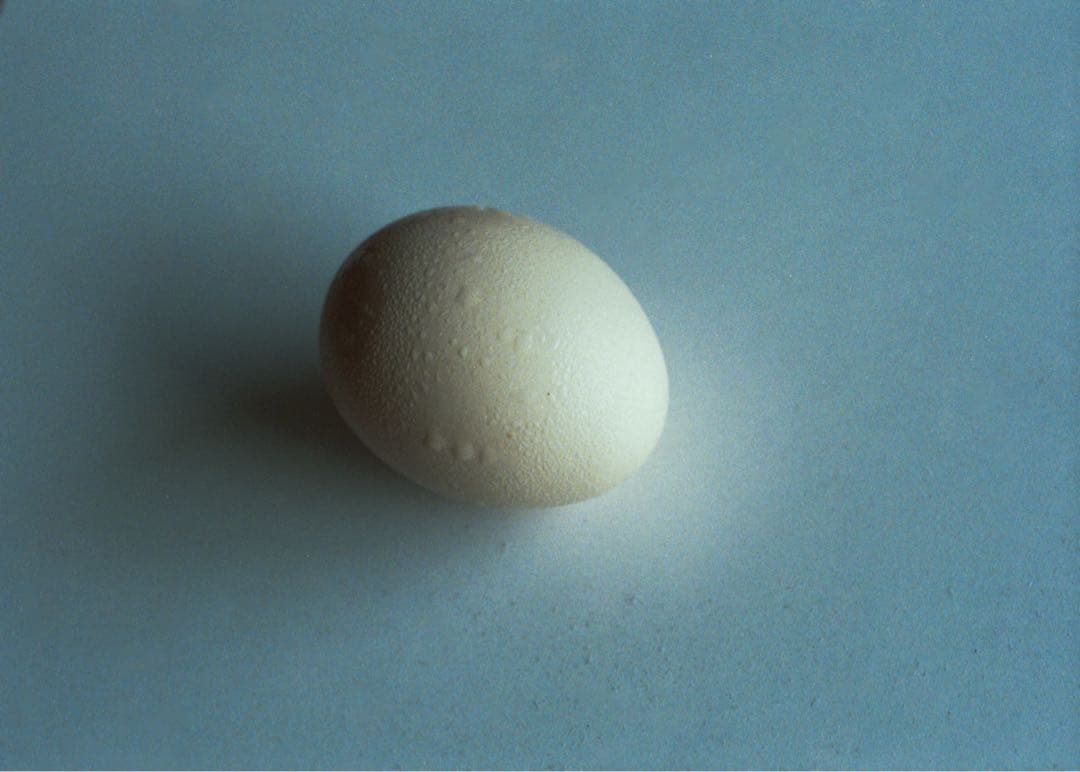 Olympus PEN-FT オーバーホール済 作例あり