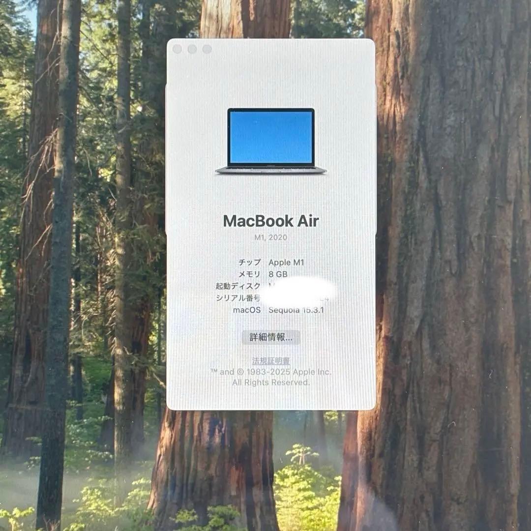 MacBook本体 Apple MacBook Air M1 2020 256GB