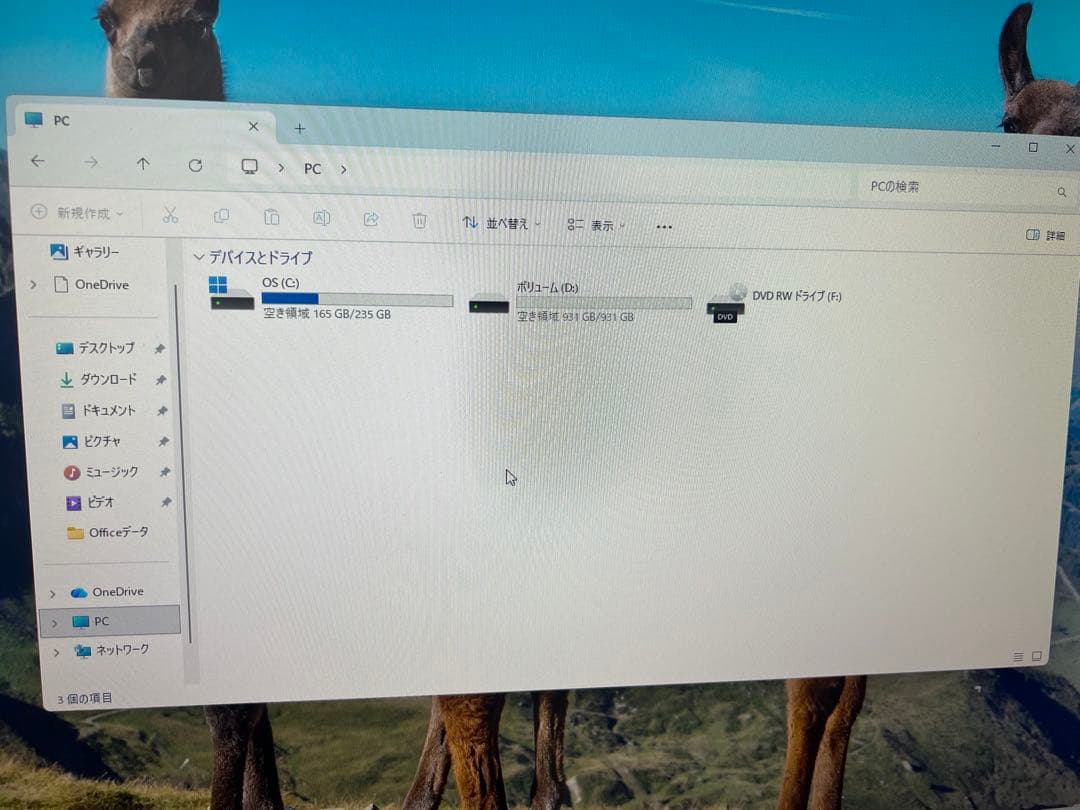 Dell 10世代i5 新品M.2SSD256gb+HDD1TB office
