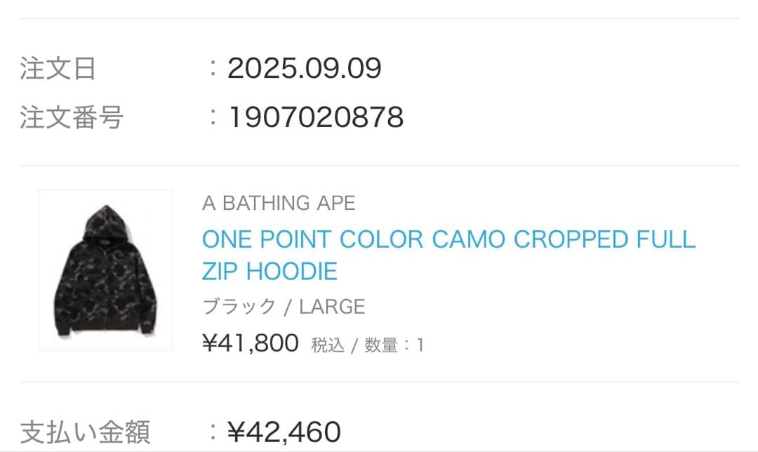 A BATHING APE パーカー ジップパーカー エイプ