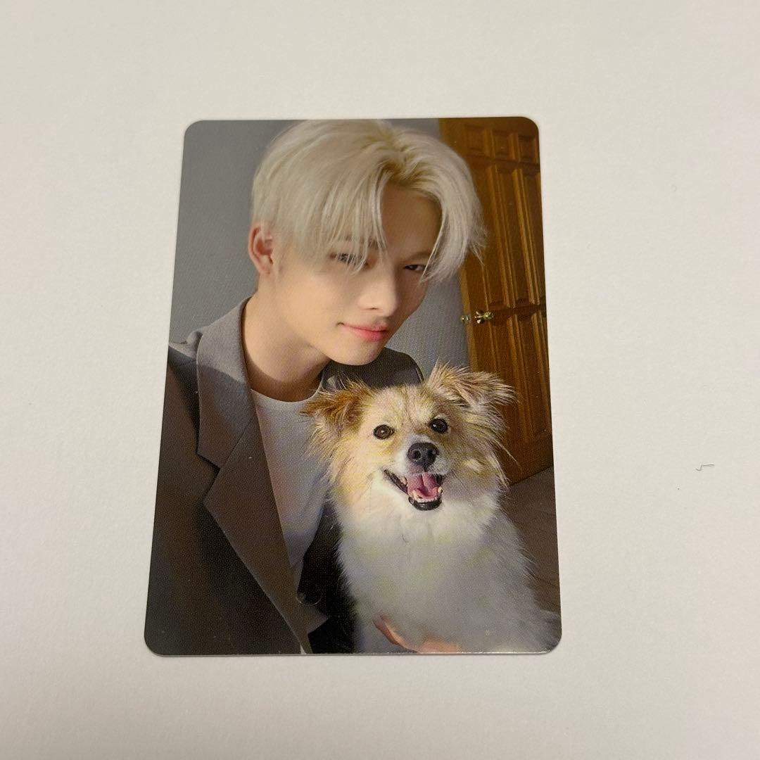 enhypen アンケート特典トレカ　ニキ