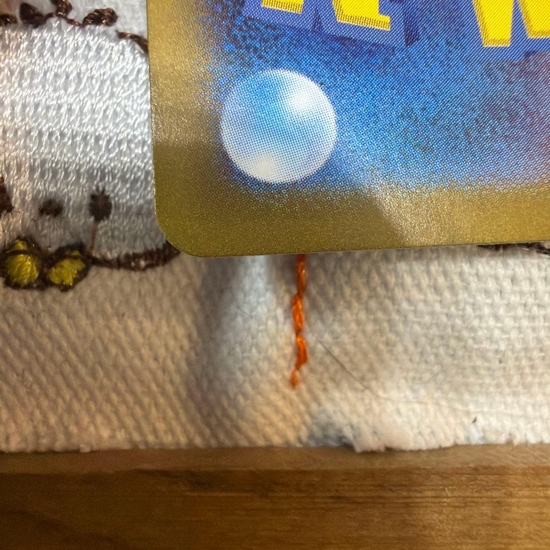 リザードンex SAR sv2a ポケモンカード151 201/165