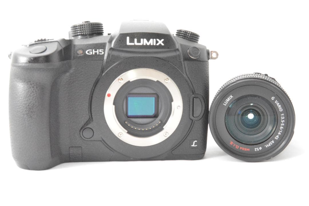 Panasonic LUMIX DC-GH5＋14-42mm F3.5-5.6