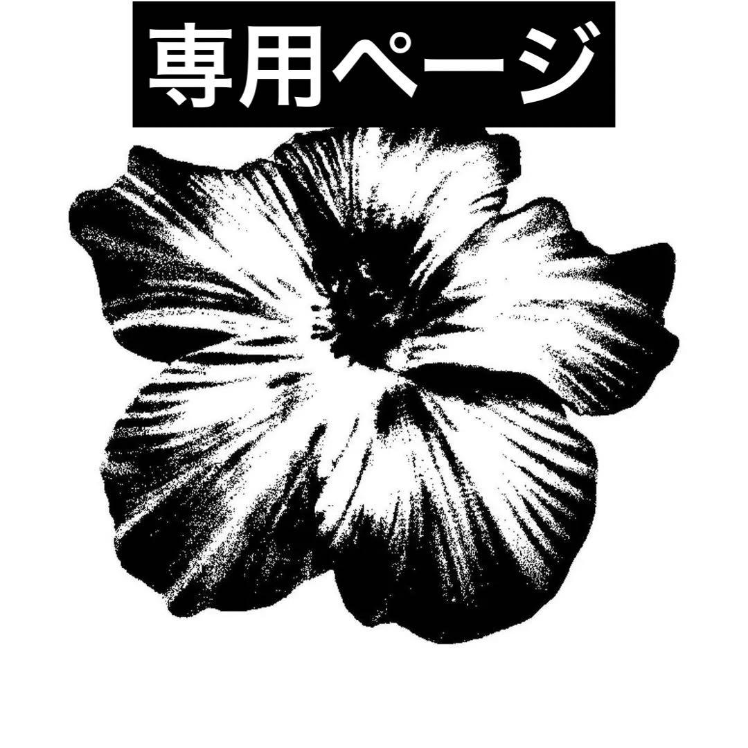 パイの実ページ