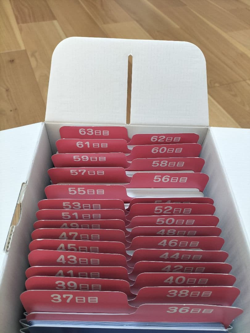 しちだ式　七田式　SHICHIDA　知育 　ドッツセット 1日目〜63日目