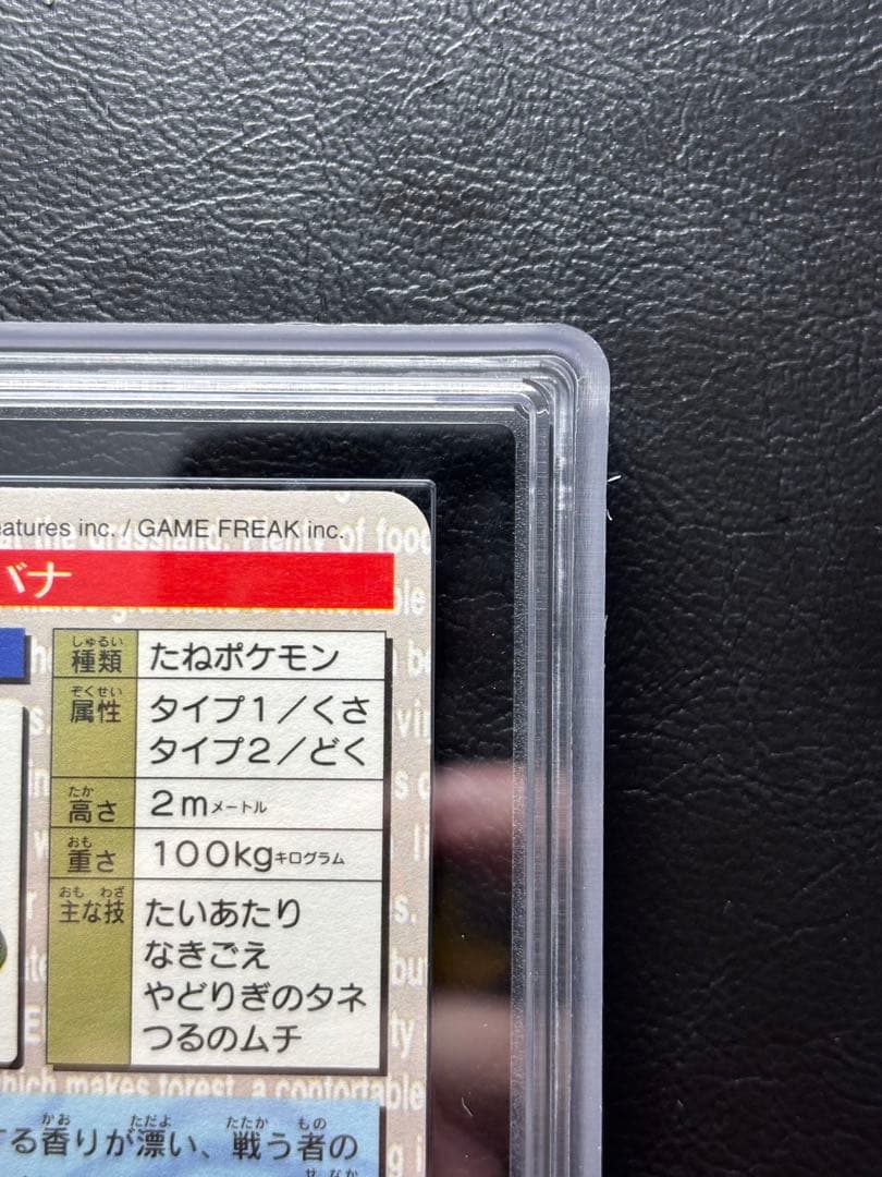 【ARS10+ 世界3枚】フシギバナ カードダス 緑