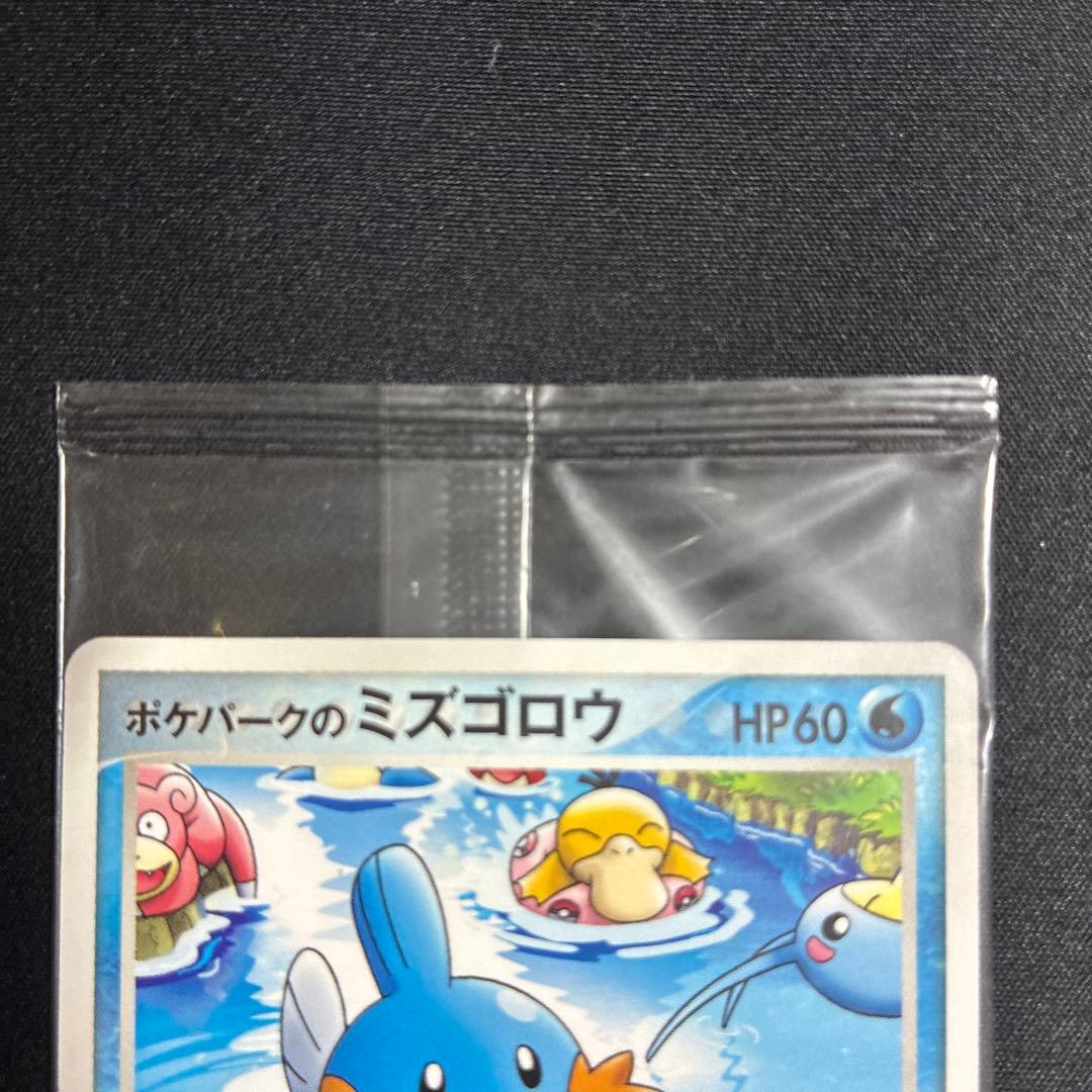 ポケパークのミズゴロウ プロモ 048/PCG-P ポケモンカード