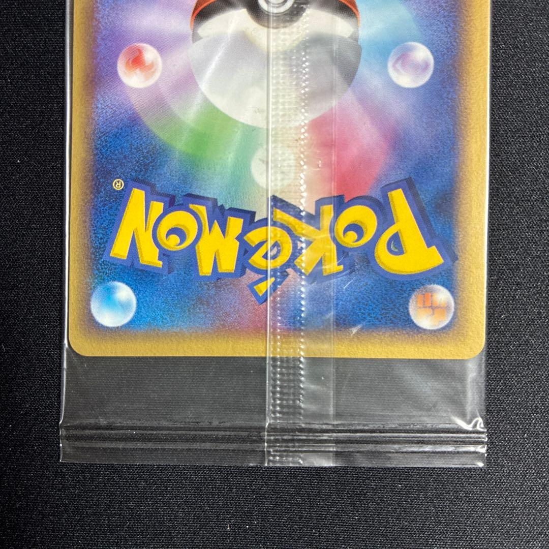 ポケパークのミズゴロウ プロモ 048/PCG-P ポケモンカード