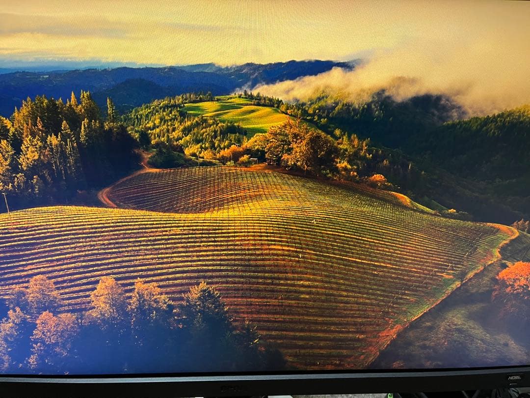 ディスプレイ・モニター本体 BenQ: EX2510