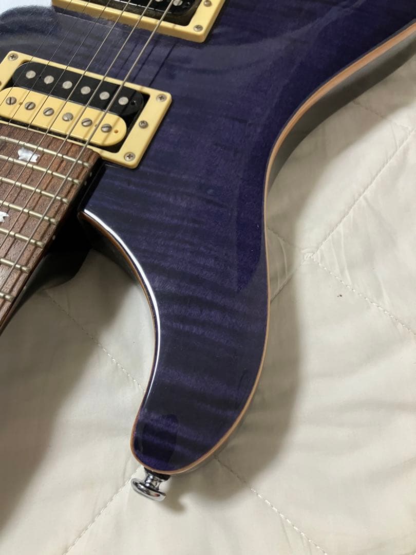 かぴ丸 Paul Reed Smith PRS SE