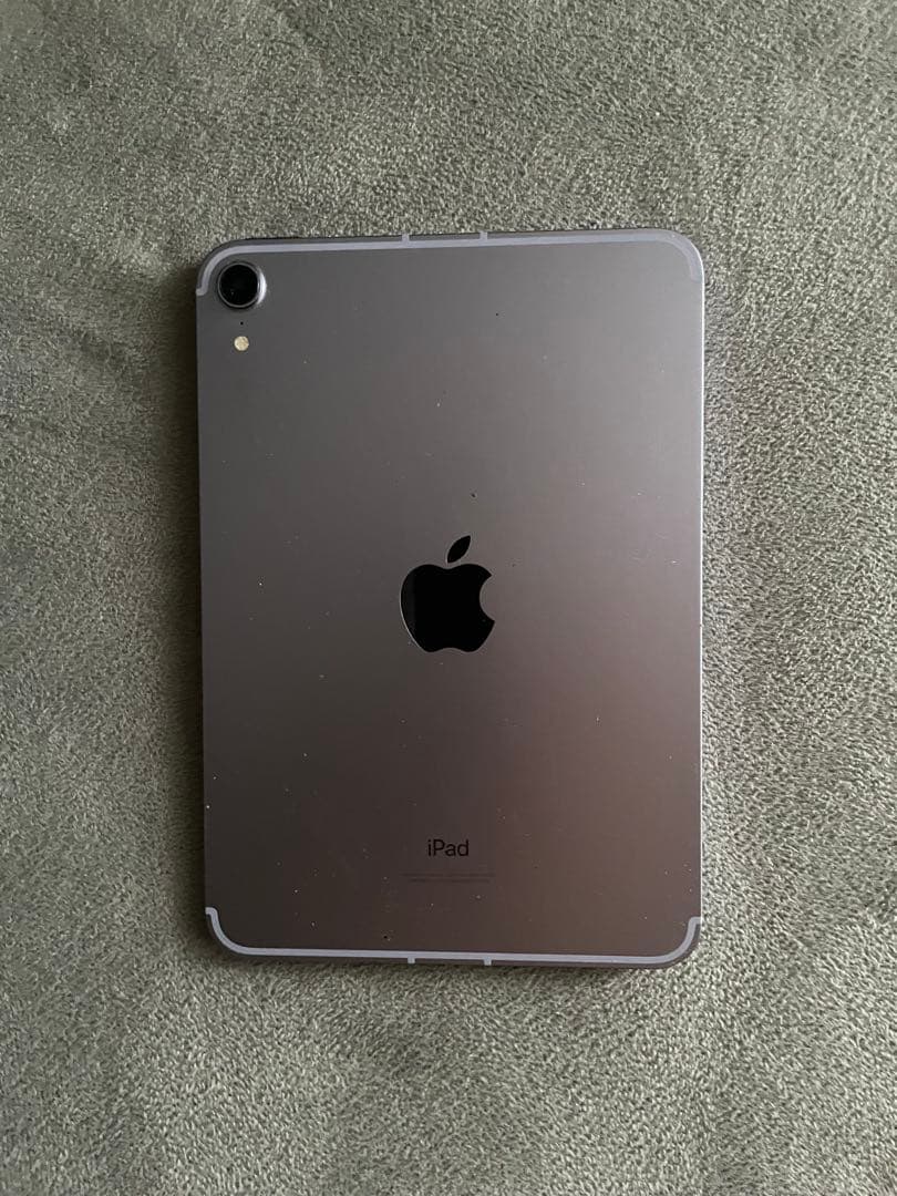 Apple iPad 第6 世代　256GB wifi calluler