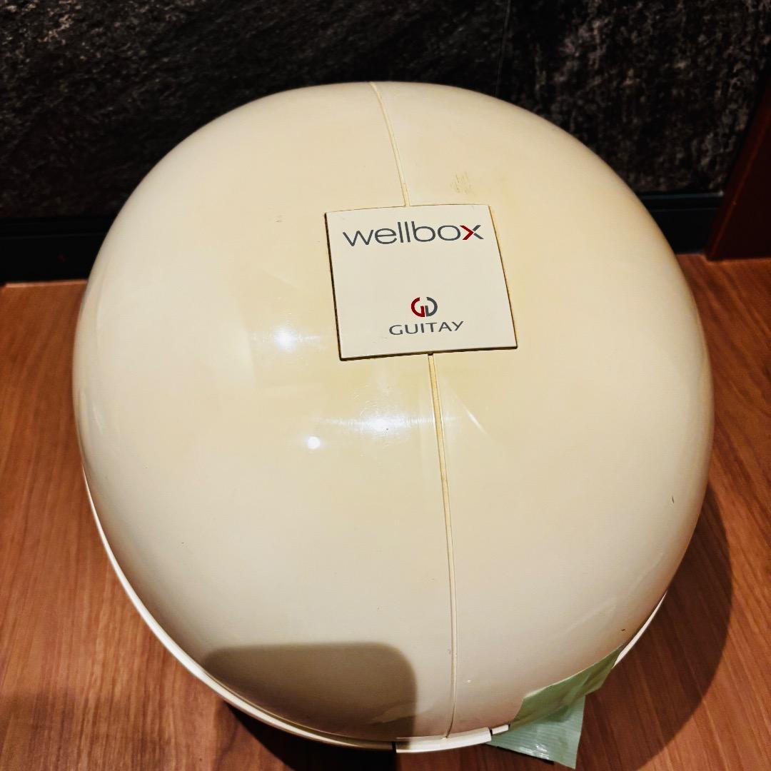 wellbox　ウェルボックス 家庭用エンダモロジー　痩身　ダイエット