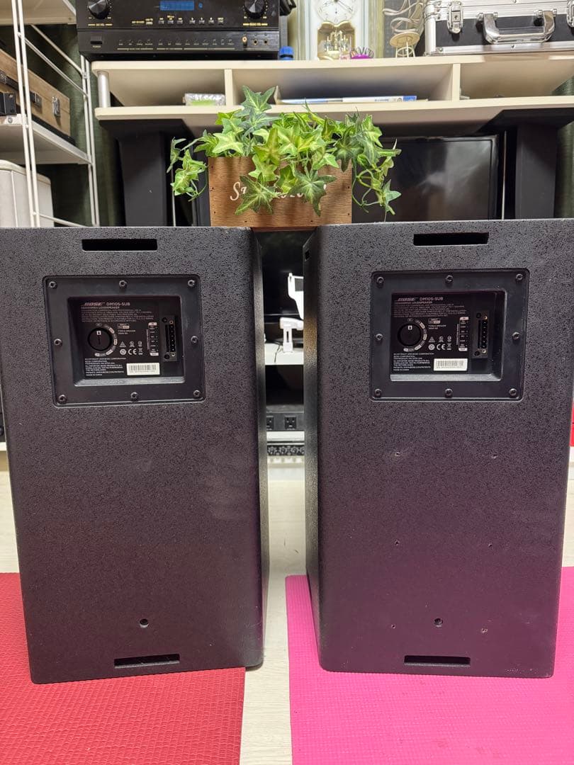 BOSE DM10S-SUB (2個) 動作確認済み