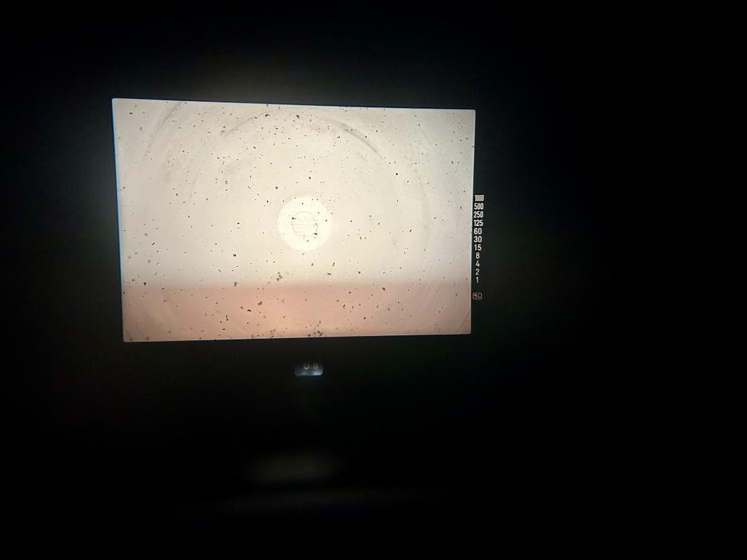 フィルムカメラ MINOLTA X-700 + MD ROKKOR 50mm F1.7