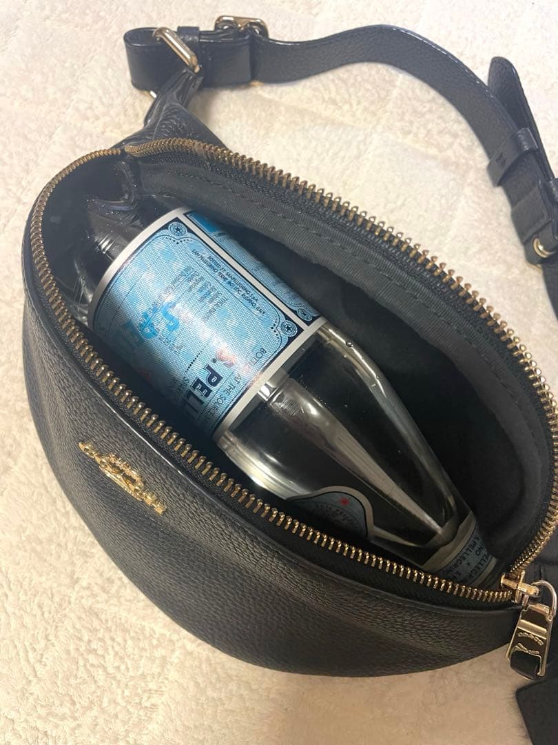 u*6様 人気モデル⭐︎美品　COACH コーチ　ボディバック　シボ革