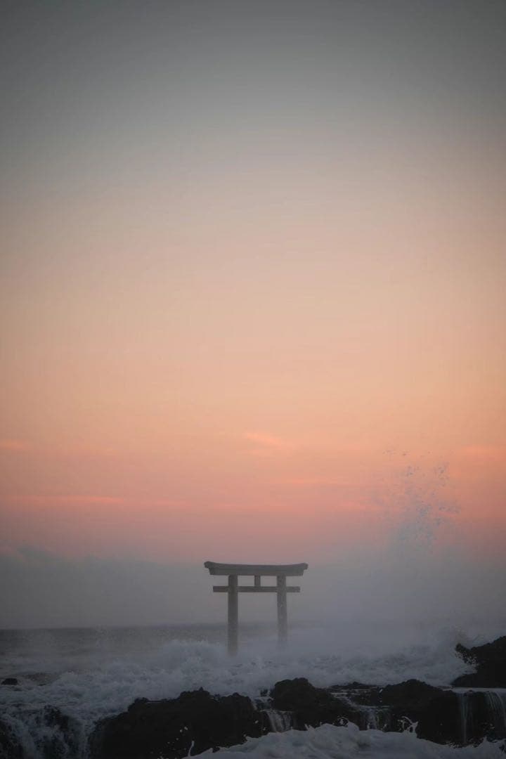 U*i様 美品 SONY FE 24-105mm F4 G OSS（防湿庫保管・