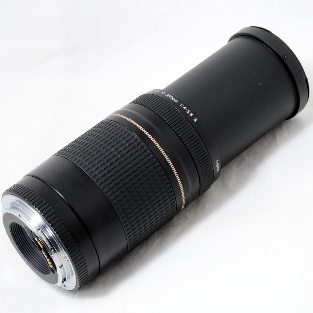 ⭐️実用品⭐️Canon キャノン EF 75-300mm F4-5.6ⅡUSM