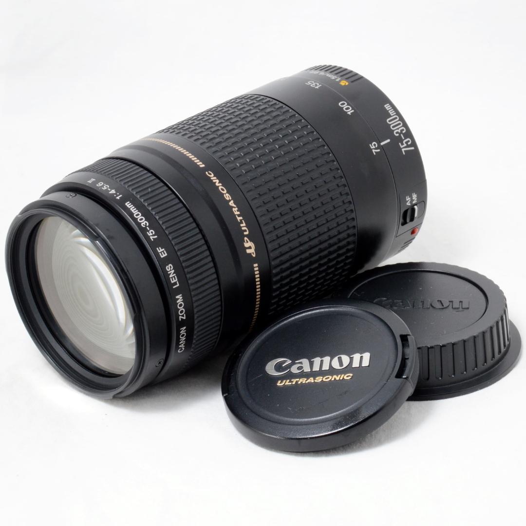 ⭐️実用品⭐️Canon キャノン EF 75-300mm F4-5.6ⅡUSM