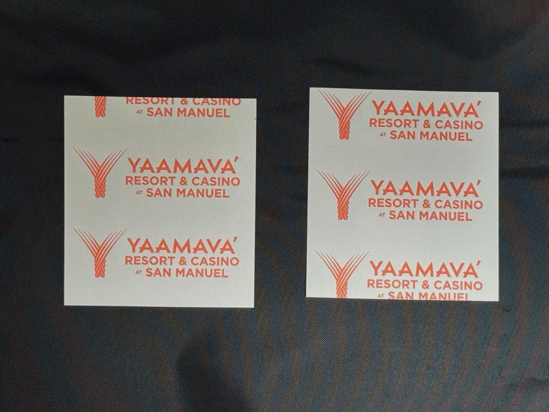 フォーエバーヤング BCクラシック 2025現地 単勝馬券