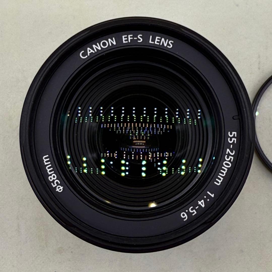 Canon EF-S 55-250mm f4-5.6 ズームレンズ＃244