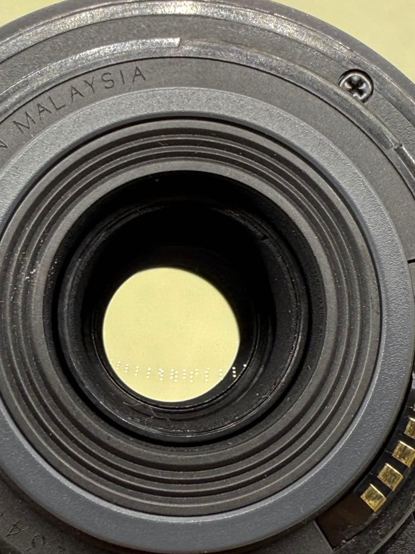 Canon EF-S 55-250mm f4-5.6 ズームレンズ＃244