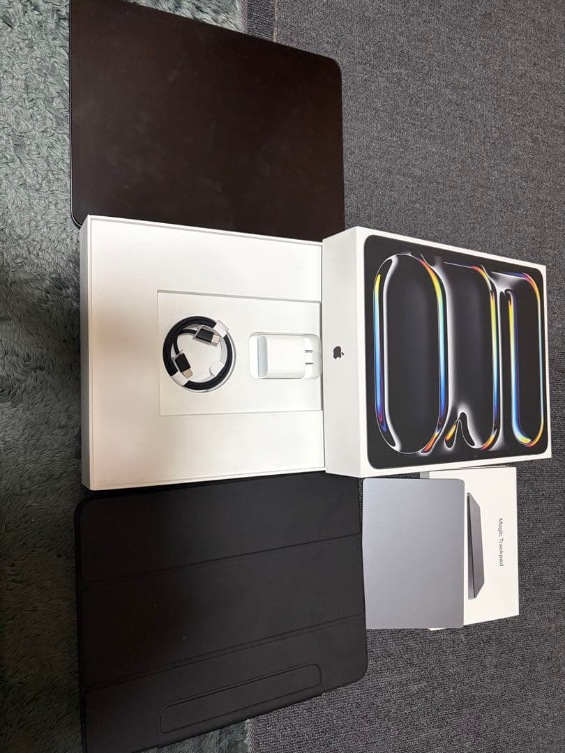 【セット品】iPad Pro M413型 Wi-Fiモデル 1TB 標準ガラス