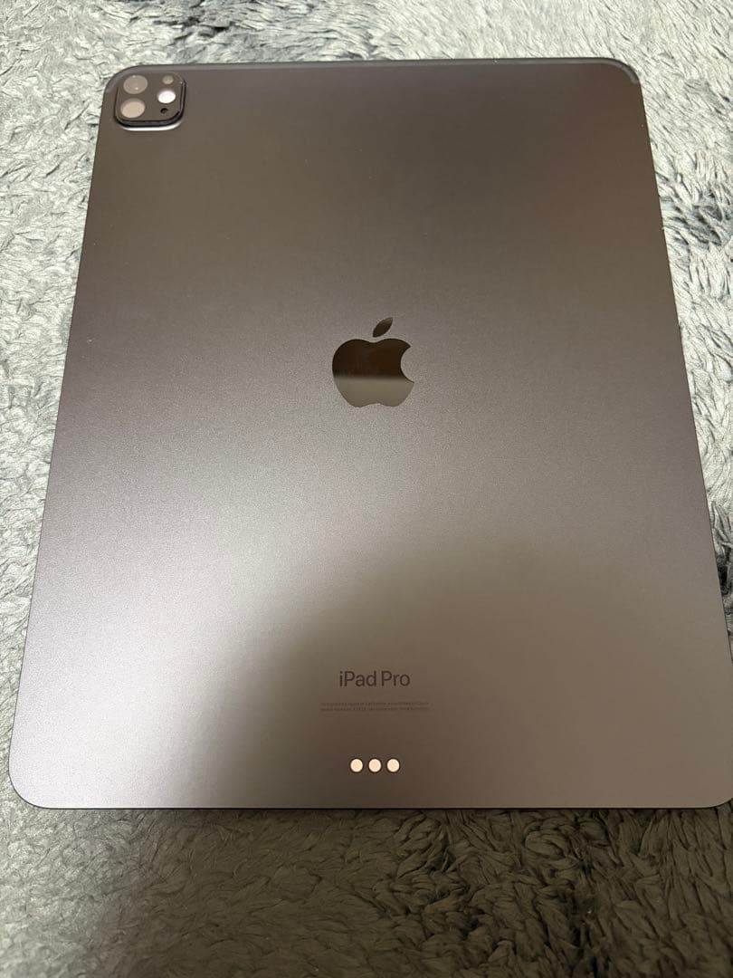 【セット品】iPad Pro M413型 Wi-Fiモデル 1TB 標準ガラス