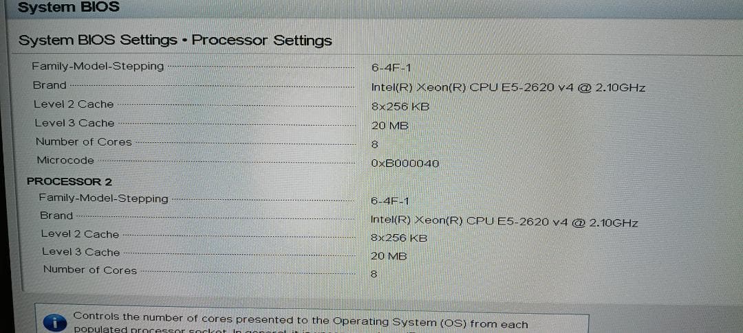 DELL PowerEdge R430 E5-2620 V4×2/8GB