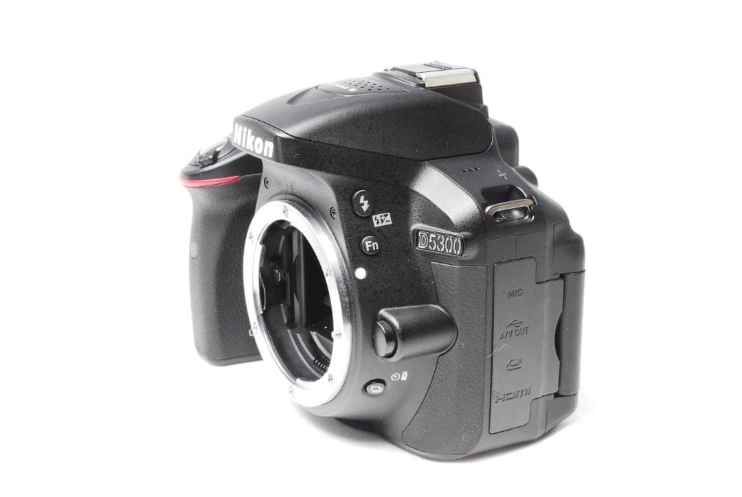 【新品級】Nikon D5300 Wレンズ Wi-Fi転送可能 初心者おススメ