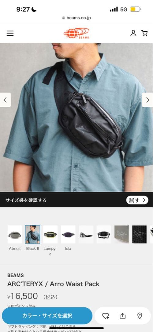 ARC'TERYX / Arro Waist Pack アークテリクス