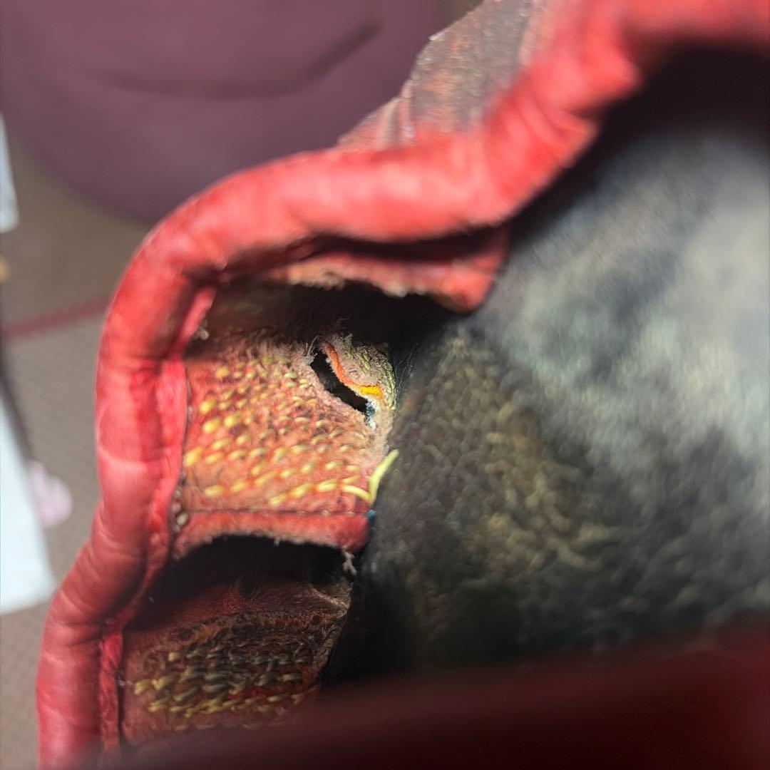 Mizuno Pro 硬式外野手用グローブ