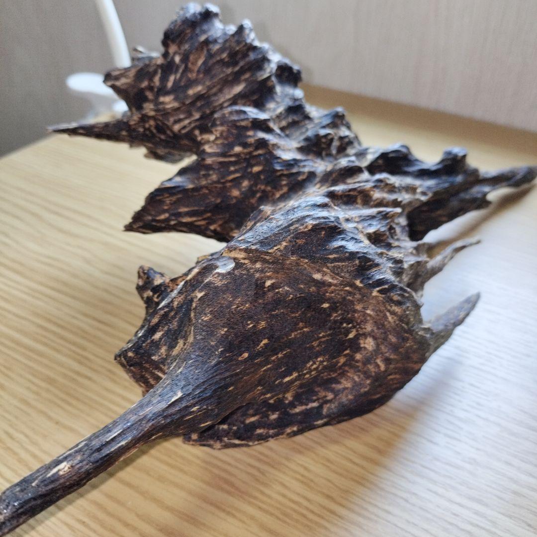 ベトナム産沈香