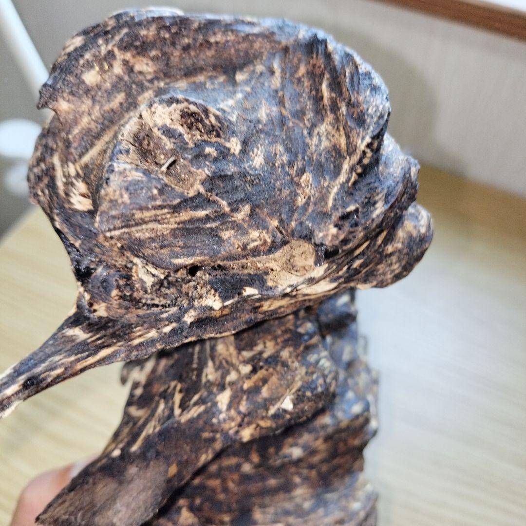 ベトナム産沈香