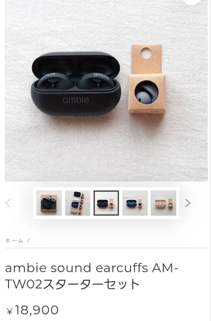 フォースambie AM-TW02 Black×Black