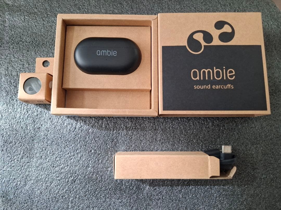 フォースambie AM-TW02 Black×Black