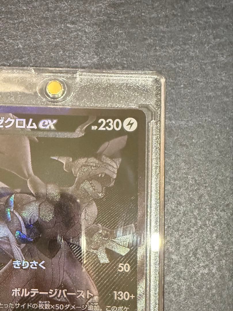ポケモンカード ゼクロム