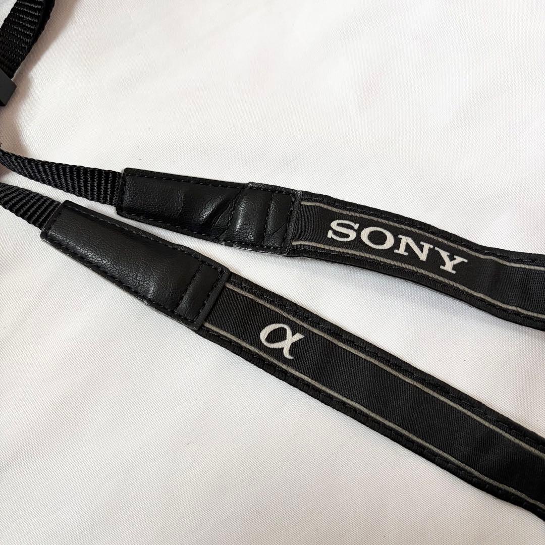 美品 SONY α NEX-5RL レンズキット 使用回数少なめ 付属品完備