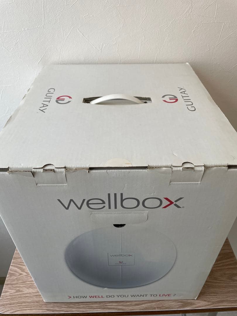 みゅう　GUITAY「Wellbox」家庭用エンダモロジー