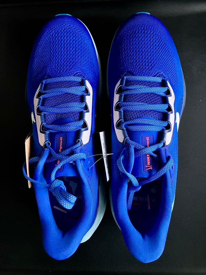 （廃番カラー、完全未使用品）NIKE エアズーム ペガサス 41