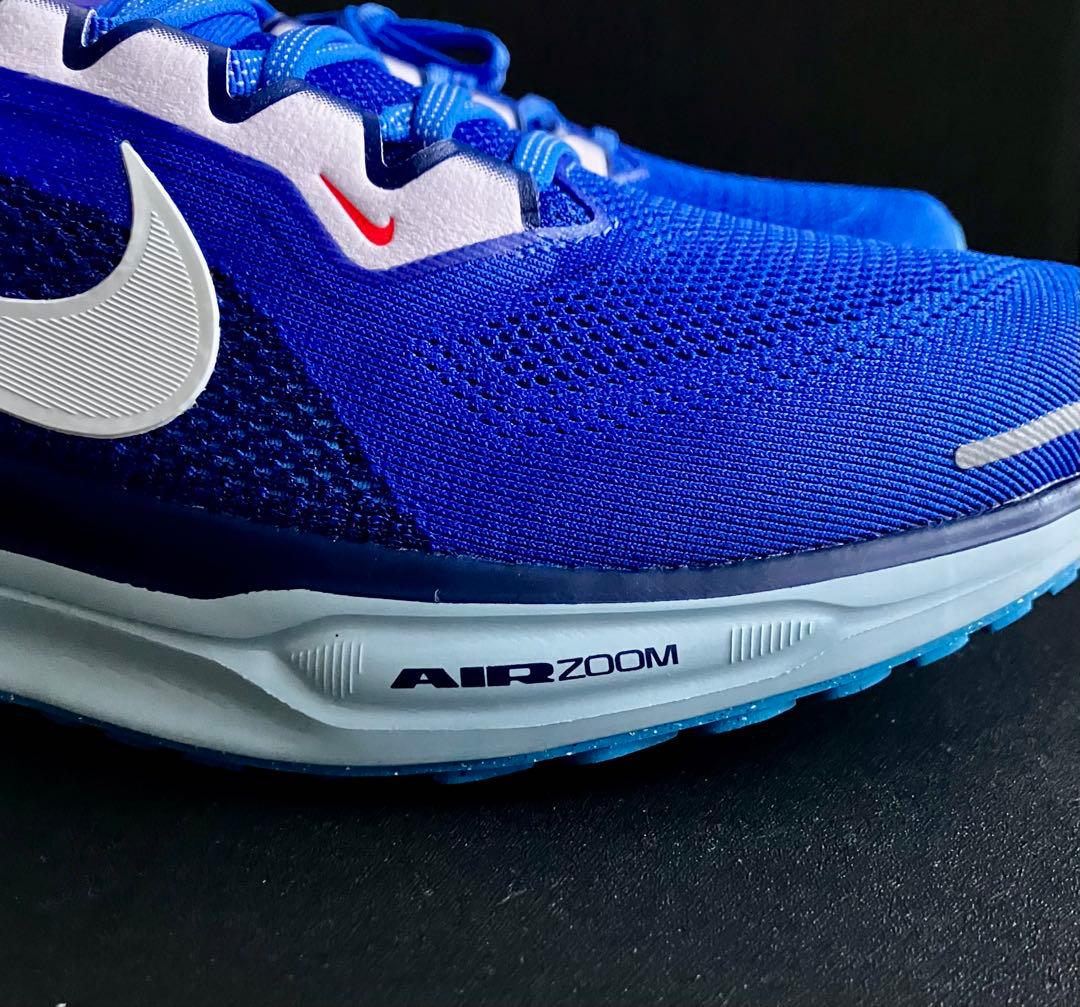 （廃番カラー、完全未使用品）NIKE エアズーム ペガサス 41