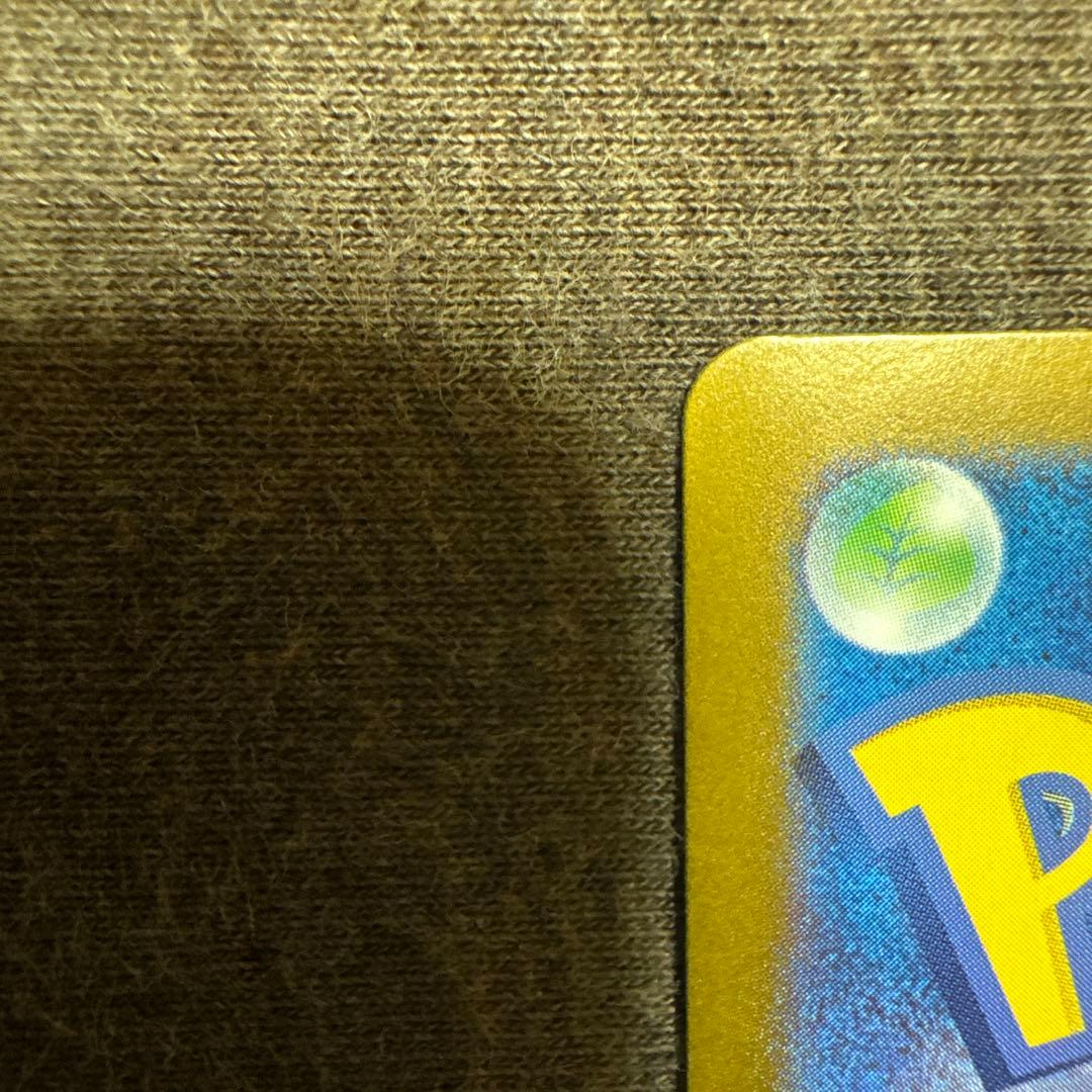 ルチアのアピール sar