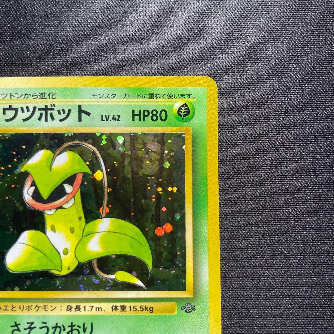 ポケカ ウツボット 旧裏 キラ 渦巻きあり