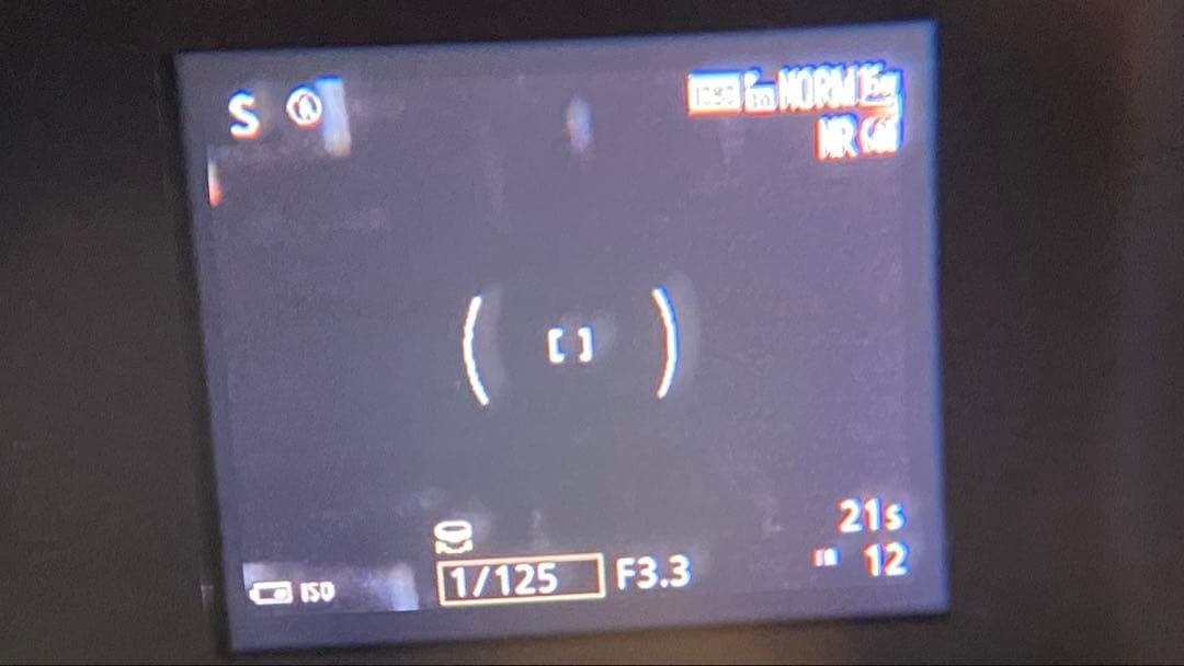 Nikon COOLPIX P600 充電器つき【動作確認済み】