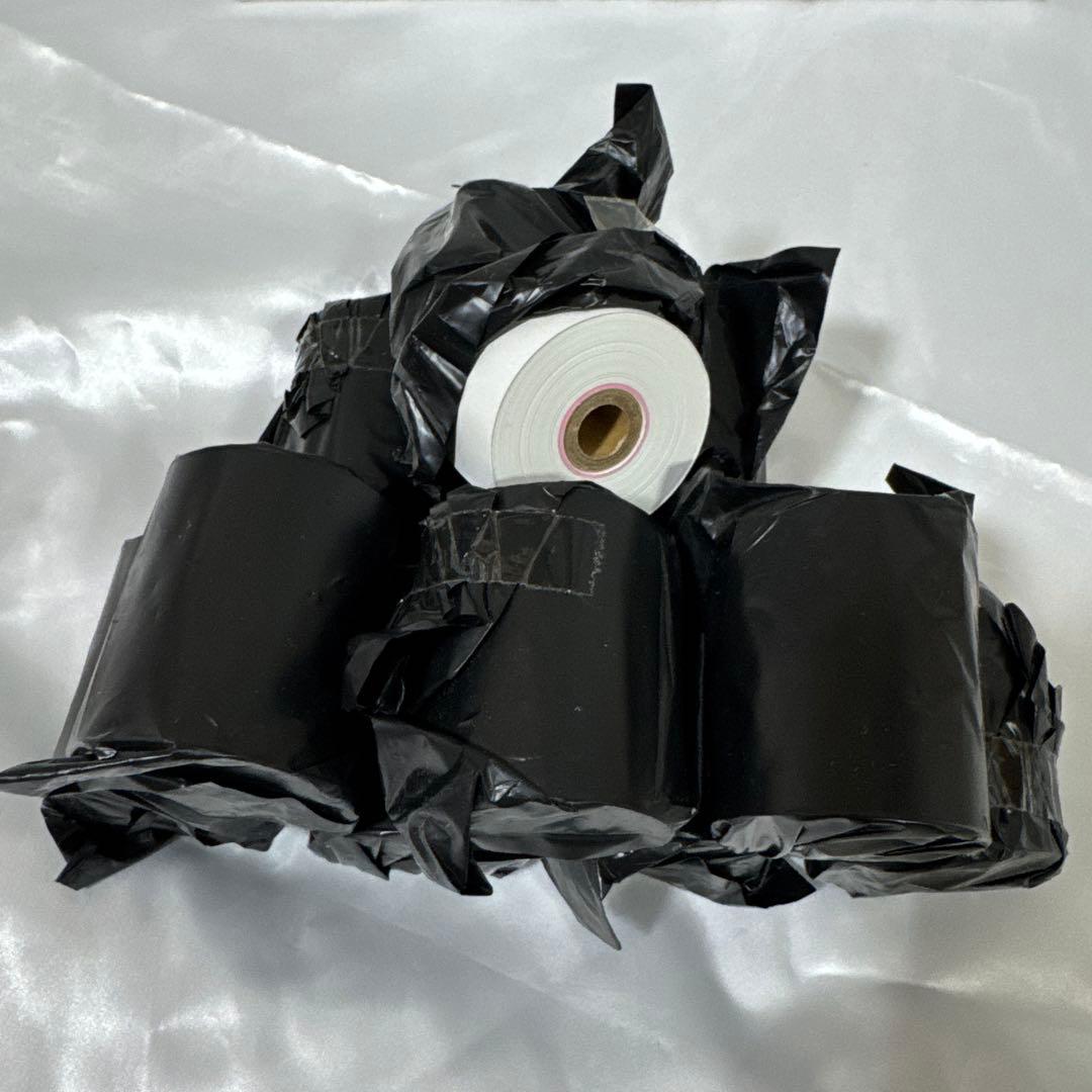 CASIO レジスター 電子レジスター SE-S30-BK